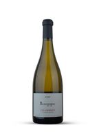 Louis Vallet Charodon Bourgogne Chardonnay White