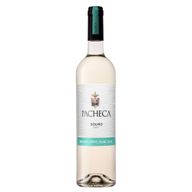 Pacheca Douro White
