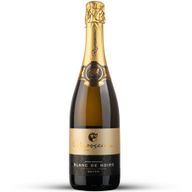 Espumante Raposeira De Noir Espumante