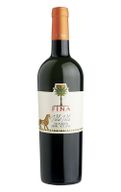 Cantine Fina Vola Vola