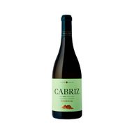 Cabriz Reserva Dão Branco
