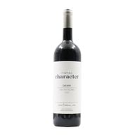 Magnum Pintas Character Douro Tinto