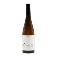 Contradição Alvarinho Branco