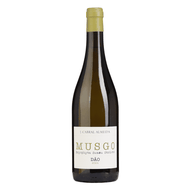 Musgo