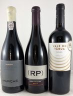 Trio De Coleção 22 