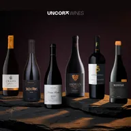 Douro Discovery Case 