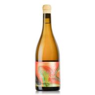Ribeiro Santo Encruzado Dourado - Dao White