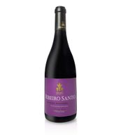 Ribeiro Santo