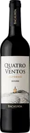 Catarina Tinto