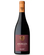 Andreza Vinha De Vale Mendiz