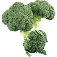 Couve Brócolo 