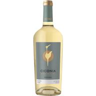 Ciconia Premium Alentejano