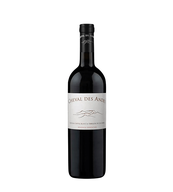 Cheval Des Andes Tinto
