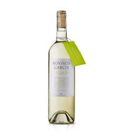 Rovisco Garcia Branco