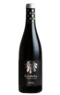 Godelia Selección