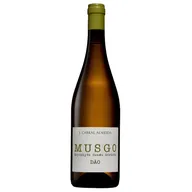 Musgo Colheita Branco 2025 Porto