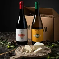 Mainova Collection Ii