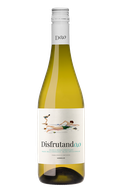 Disfrutando 0,0 Blanco White
