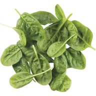 Espinafre Baby Leaf 