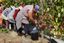 Quinta de la Rosa