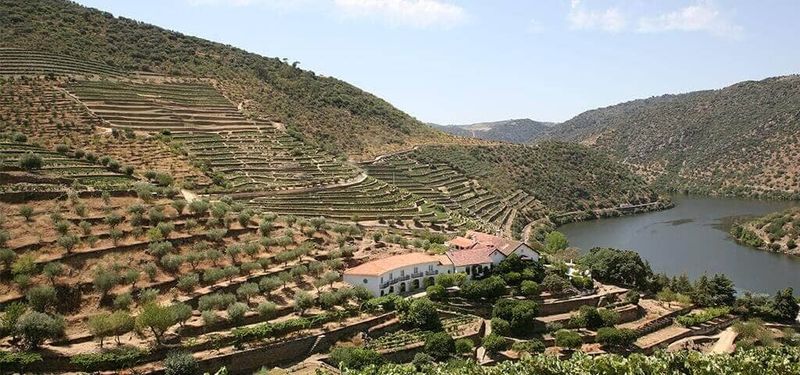 Taylor's — Quinta de Vargellas