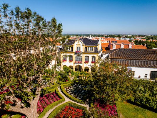 José Maria da Fonseca