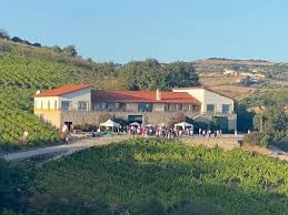 Quinta da Casa Amarela